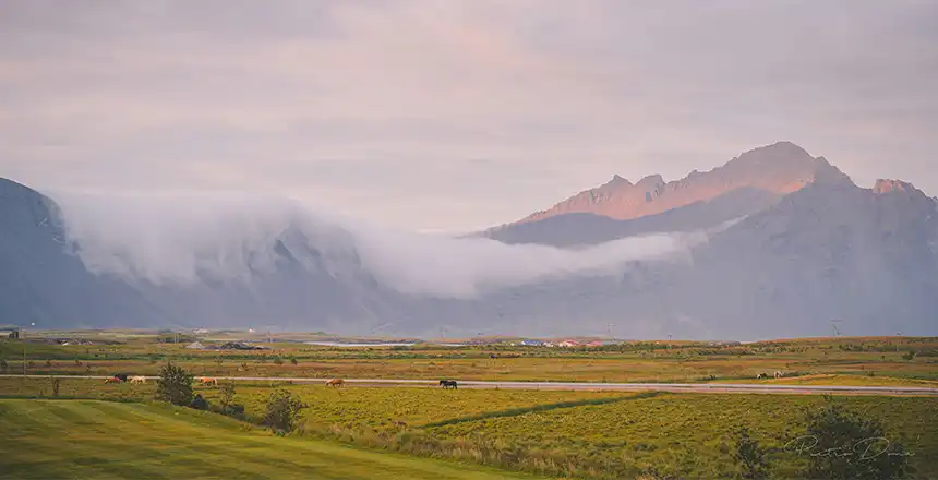 h&ouml;fn island