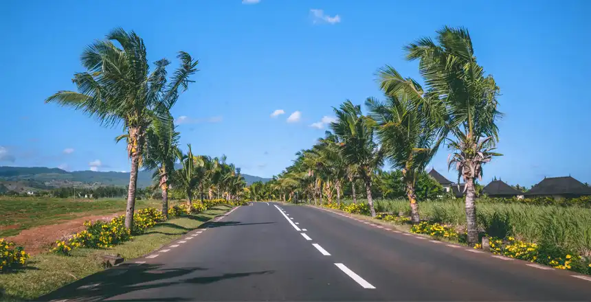 Von Palmen ges&auml;umte Stra&szlig;e auf Mauritius